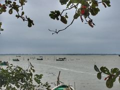 -东寨港红树林旅游区