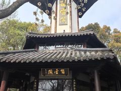 -上海佘山国家森林公园天马山园