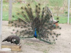 -云漫湖生态度假公园