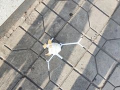 -蜜雪冰城(龙河路店)