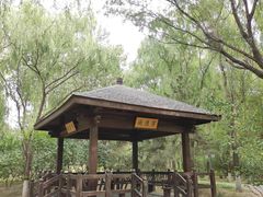 -大兴滨河森林公园