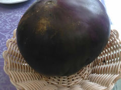 android_upload_pic-克拉玛依新疆餐厅