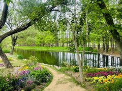 -上海共青森林公园