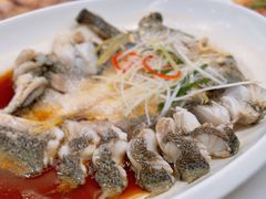 -华盛丰温州大排档(东三环南路店)