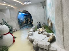 -西霞口神雕山野生动物世界