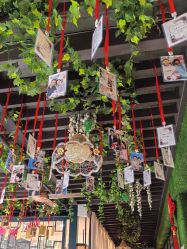 -保丽宝泰母婴护理院·月子中心·产康·中医(常州店)