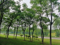 -洨河生态公园