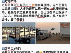 -日照海滨国家森林公园
