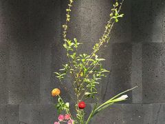 -帝京日语(春熙路旗舰校区)