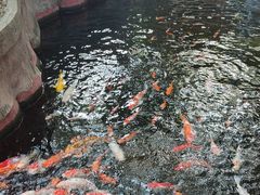 -长鹿旅游休博园