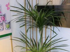 -禾珍珠家常小馆(河南博物院店)