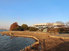 -长广溪湿地公园