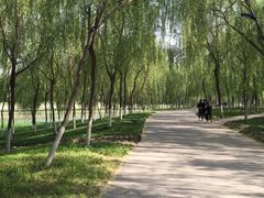 -秀水公园