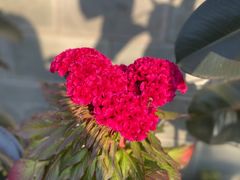 门面-钰田大院·碳烤虹鳟鱼·怀柔地道农家菜(雁栖湖店)