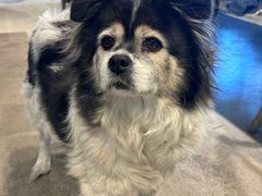 -可可露咖啡店(大东店)