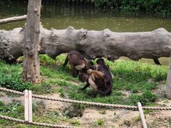 -上海野生动物园