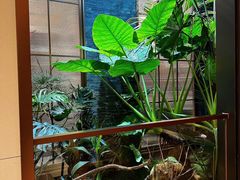 -双湖宴·湖北菜(文化路店)