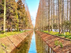 -东平国家森林公园