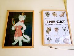 -猫色咖啡·猫咖