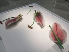 -康宁玻璃博物馆