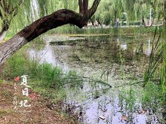 -滨湖塘西河公园