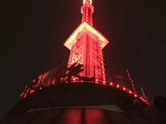 -339旋转餐厅(天府熊猫塔店)