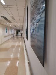 -杭州贝瑞斯美华妇儿医院·早孕·产检·儿科