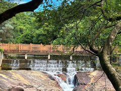 -广州白江湖森林公园