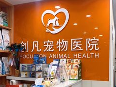 -创凡宠物医院·骨专科  猫科中心(西乡分院)