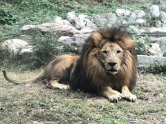 -辛玛王国游乐园