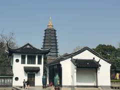 -红梅公园