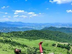 -大姆山草场