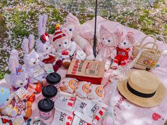 -苏州上方山国家森林公园