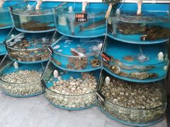 -叶存利海鲜大馅饺子(东戴河止锚湾店)