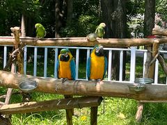 -哈尔滨北方森林动物园