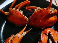 -莲花公园煎蟹(总店)