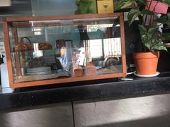 -从启咖啡(五羊邨店)