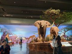 -天津自然博物馆