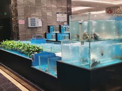 水产区-大铁勺新津菜(东丽阳光新业广场店)