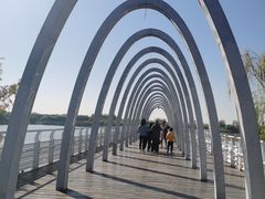 -大兴滨河森林公园