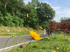 -南京市江宁方山
