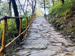 -北京上方山国家森林公园
