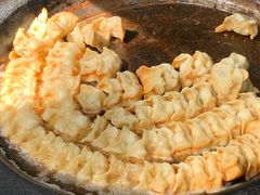 -向群锅饺(登高路店)