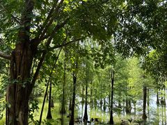 -南宁花花大世界景区