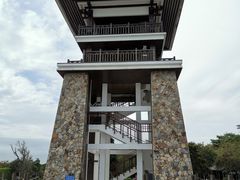 -大湾区中央湿地公园