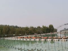 -东方巨龟苑景区