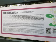 -临高角