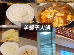 -蝎王府羊蝎子(虎坊桥总店)