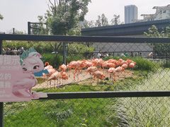 -武汉动物园