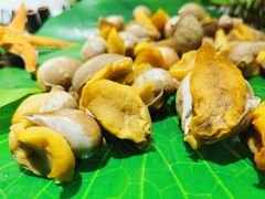-鄂尔多斯博源豪生大酒店